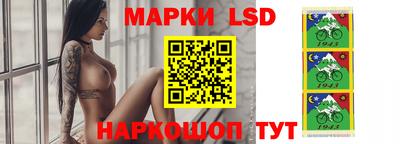 индика Гай