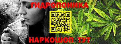 индика Гай
