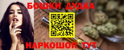 индика Гай