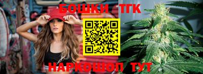 индика Гай