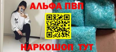 индика Гай