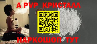 индика Гай