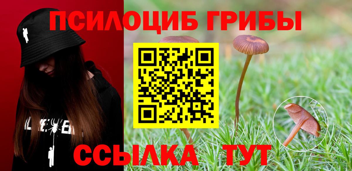 Дюртюли  Галлюциногенные грибы мухоморы  Вход с VPN 