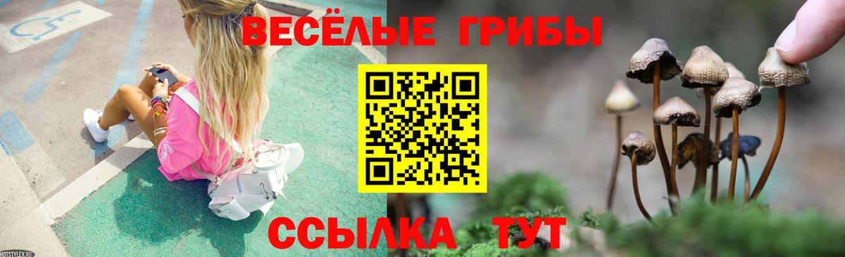 Галлюциногенные грибы Psilocybe Дюртюли